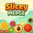 Puzzle Games
